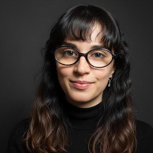 Veronica Pisana, Responsabile Linkly Italia